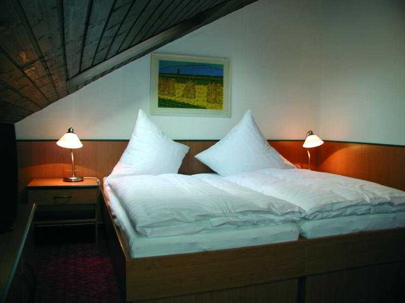 Hotel Traube Оффенбург Экстерьер фото